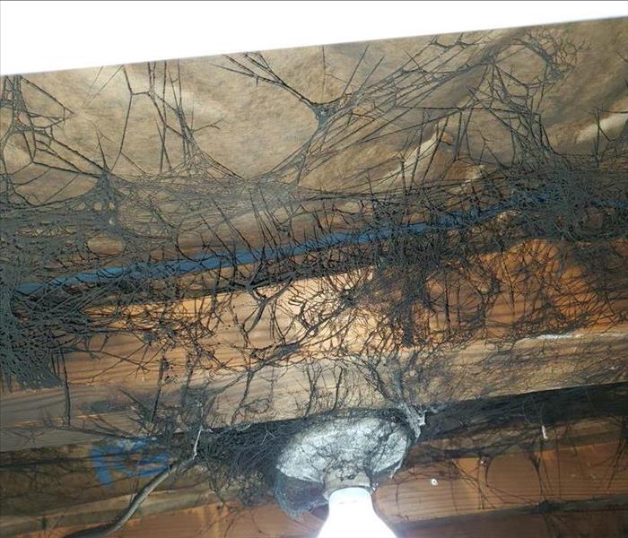 Soot webs on ceiling.